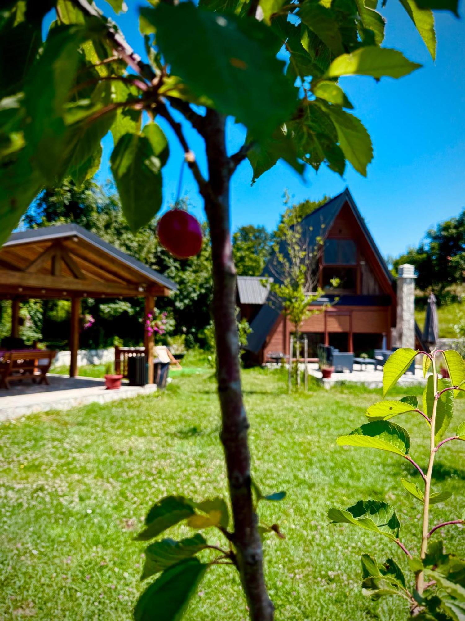 Albero Casa Villa Cetinje Exterior foto